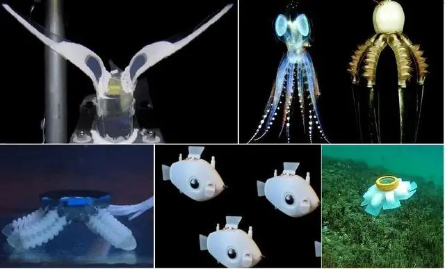 電子：Swimming Leaf水下軟體機(jī)器人的研究成果分享